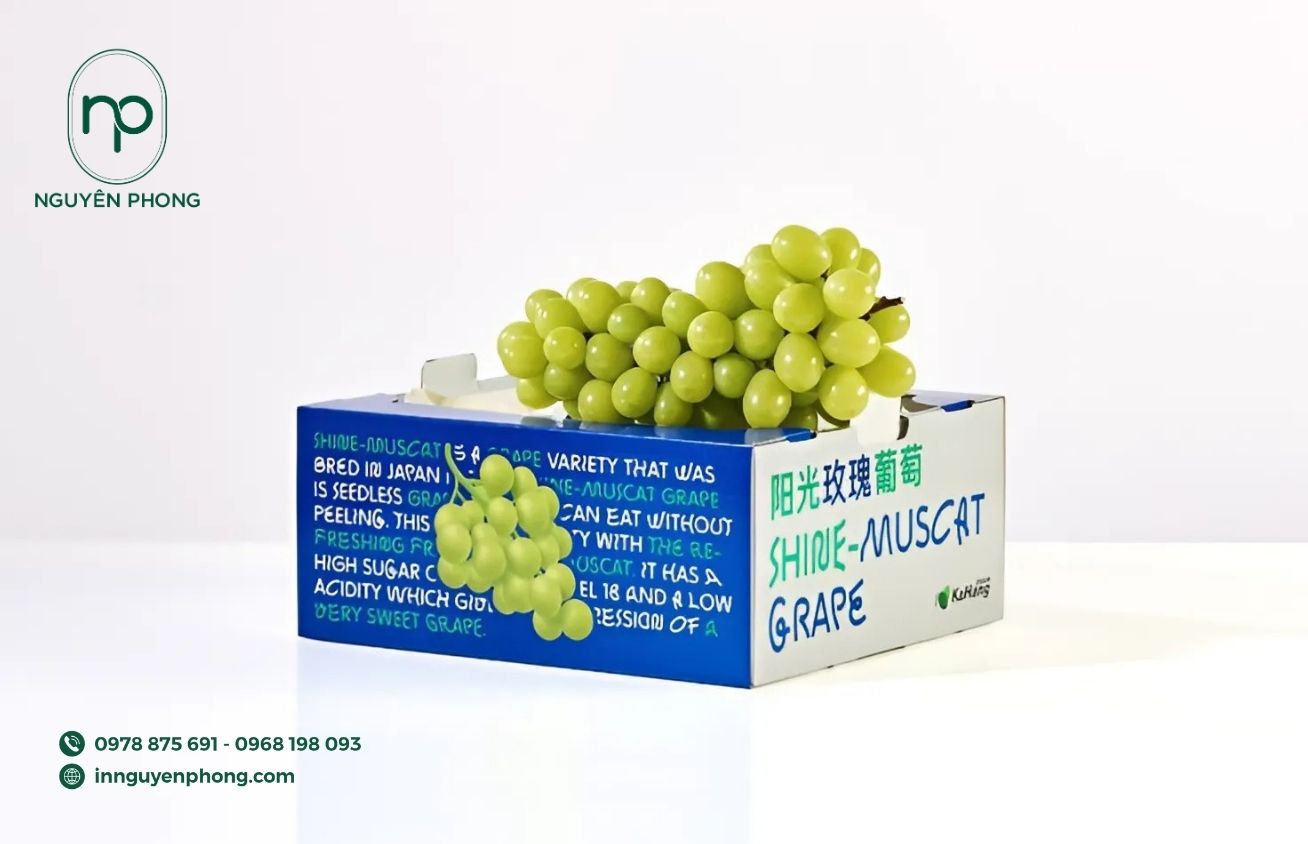 mau-thung-carton-dung-nho-noi-bat